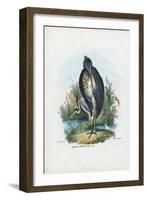 Grey Heron, 1863-79-Raimundo Petraroja-Framed Giclee Print