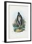 Grey Heron, 1863-79-Raimundo Petraroja-Framed Giclee Print