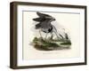 Grey Heron, 1864-null-Framed Giclee Print