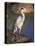 Grey Heron (Ardea Cinere), Kruger National Park, Mpumalanga, South Africa, Africa-Ann & Steve Toon-Stretched Canvas