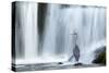 Grey Heron (Ardea Cinerea) Beneath Waterfall. Ambleside, Lake District, UK, November-Ben Hall-Stretched Canvas