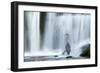 Grey Heron (Ardea Cinerea) Beneath Waterfall. Ambleside, Lake District, UK, November-Ben Hall-Framed Photographic Print