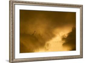 Grey Heron (Ardea Cinerea) Beside Drainage Ditch at Sunrise, Cairngorms National Park, Scotland, UK-Mark Hamblin-Framed Photographic Print