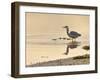 Grey Heron (Ardea cinerea), County Clare, Munster, Republic of Ireland, Europe-Carsten Krieger-Framed Photographic Print