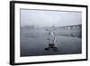 Grey Heron (Ardea Cinerea) on Ice, Feeding on Fish, River Tame, Reddish Vale Country Park, UK-Terry Whittaker-Framed Photographic Print