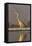 Grey heron (Ardea cinerea), Zimanga private game reserve, KwaZulu-Natal, South Africa, Africa-Ann and Steve Toon-Framed Stretched Canvas