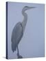 Grey Heron in Mist, Keoladeo Ghana Np, Bharatpur, Rajasthan, India-Jean-pierre Zwaenepoel-Stretched Canvas