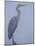 Grey Heron in Mist, Keoladeo Ghana Np, Bharatpur, Rajasthan, India-Jean-pierre Zwaenepoel-Mounted Photographic Print