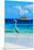 Grey Heron on Maldives Beach-null-Mounted Premium Giclee Print