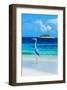 Grey Heron on Maldives Beach-null-Framed Art Print