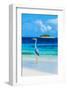 Grey Heron on Maldives Beach-null-Framed Art Print