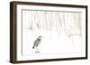 Grey heron standing on snow with reeds. The Netherlands-Edwin Giesbers-Framed Photographic Print