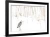 Grey heron standing on snow with reeds. The Netherlands-Edwin Giesbers-Framed Photographic Print