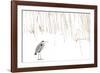Grey heron standing on snow with reeds. The Netherlands-Edwin Giesbers-Framed Photographic Print