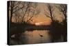 Grey Heron Walking across a Frozen Pond-null-Stretched Canvas