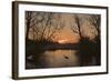 Grey Heron Walking across a Frozen Pond-null-Framed Photographic Print