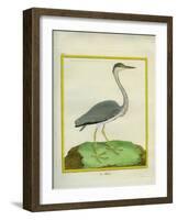 Grey Heron-Georges-Louis Buffon-Framed Giclee Print