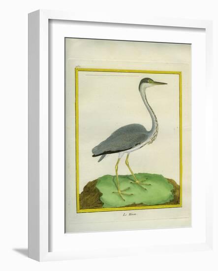 Grey Heron-Georges-Louis Buffon-Framed Giclee Print