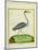 Grey Heron-Georges-Louis Buffon-Mounted Giclee Print