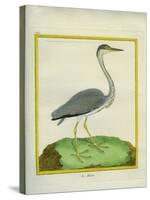 Grey Heron-Georges-Louis Buffon-Stretched Canvas