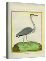 Grey Heron-Georges-Louis Buffon-Stretched Canvas