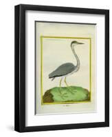 Grey Heron-Georges-Louis Buffon-Framed Premium Giclee Print