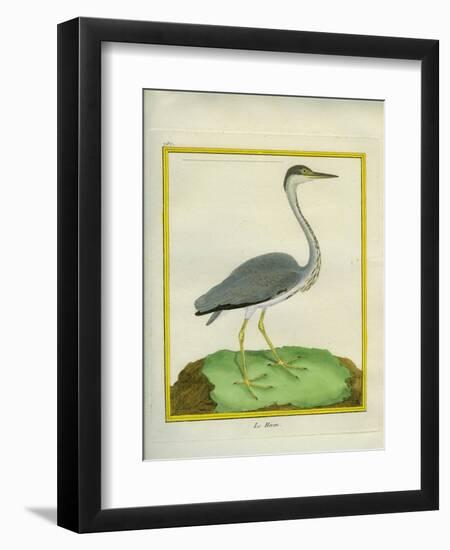 Grey Heron-Georges-Louis Buffon-Framed Premium Giclee Print