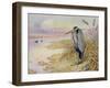 Grey Heron-Carl Donner-Framed Giclee Print