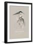 Grey Heron-Gabriella Roberg-Framed Giclee Print