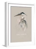 Grey Heron-Gabriella Roberg-Framed Giclee Print