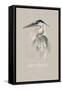 Grey Heron-Gabriella Roberg-Framed Stretched Canvas