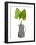 Grey jug with leaves'  monoprint-Sarah Thompson-Engels-Framed Giclee Print