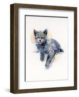 Grey Kitten, 2017-John Keeling-Framed Giclee Print