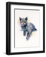 Grey Kitten, 2017-John Keeling-Framed Giclee Print