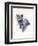 Grey Kitten, 2017-John Keeling-Framed Giclee Print