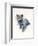 Grey Kitten, 2017-John Keeling-Framed Giclee Print