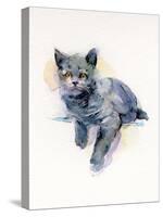 Grey Kitten, 2017-John Keeling-Stretched Canvas