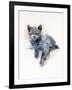 Grey Kitten, 2017-John Keeling-Framed Giclee Print