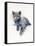 Grey Kitten, 2017-John Keeling-Framed Stretched Canvas