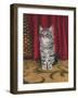 Grey Kitten and Red Curtain-Janet Pidoux-Framed Giclee Print