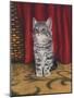 Grey Kitten and Red Curtain-Janet Pidoux-Mounted Giclee Print