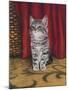 Grey Kitten and Red Curtain-Janet Pidoux-Mounted Giclee Print