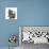 Grey Kitten Holding Out Paw-Mark Taylor-Photographic Print displayed on a wall