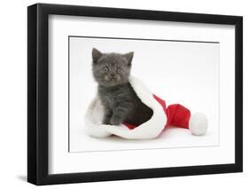 Grey Kitten in a Father Christmas Hat-Mark Taylor-Framed Photographic Print