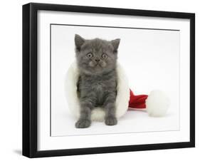 Grey Kitten in a Father Christmas Hat-Mark Taylor-Framed Photographic Print