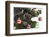 Grey Kitten Playing with Christmas Decorations under a Christmas Tree-Mark Taylor-Framed Photographic Print