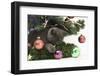 Grey Kitten Playing with Christmas Decorations under a Christmas Tree-Mark Taylor-Framed Photographic Print