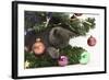 Grey Kitten Playing with Christmas Decorations under a Christmas Tree-Mark Taylor-Framed Photographic Print