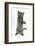 Grey Kitten Reaching Up-Mark Taylor-Framed Photographic Print