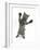 Grey Kitten, Standing, Reaching Out-Mark Taylor-Framed Photographic Print